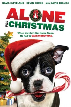 Alone for Christmas (2013) download
