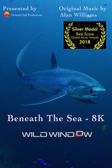 Wild Window: Beneath the Sea (2018) download