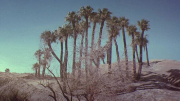 29 Palms (2002) download