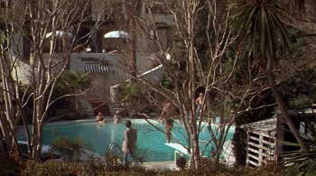 American Gigolo (1980) download