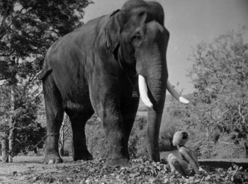 Elephant Boy (1937) download