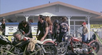 Hells Angels on Wheels (1967) download