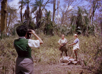 Ivory Hunter (1951) download