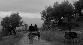 La viaccia (1961) download