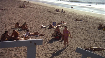 Lifeguard (1976) download