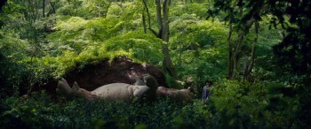 Okja (2017) download