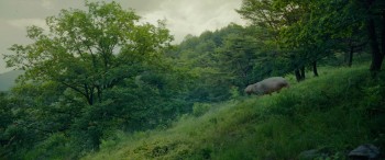 Okja (2017) download