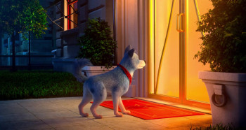 Pets United (2019) download