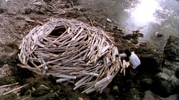 Rivers and Tides: Andy Goldsworthy Working with Time (2001) download