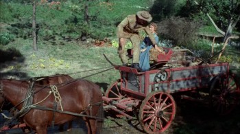 Seven Brides for Seven Brothers (1954) download