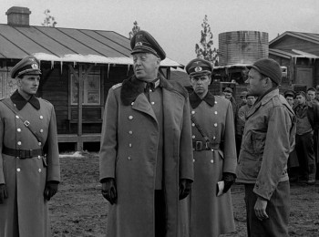 Stalag 17 (1953) download