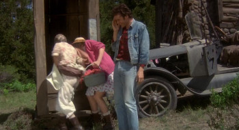 The Beverly Hillbillies (1993) download