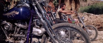 The Wild Angels (1966) download